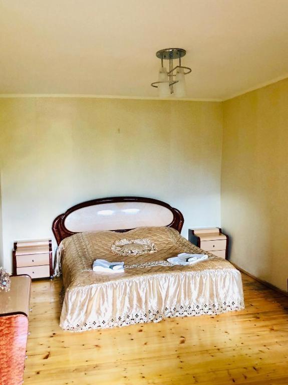 Guest House Vivaushba Bagvdanari エクステリア 写真