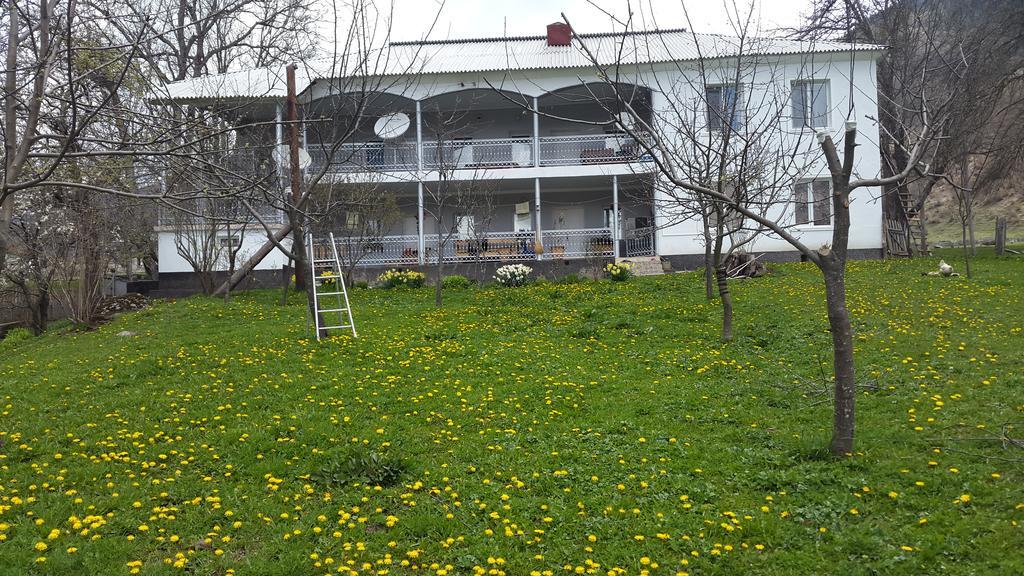 Guest House Vivaushba Bagvdanari エクステリア 写真