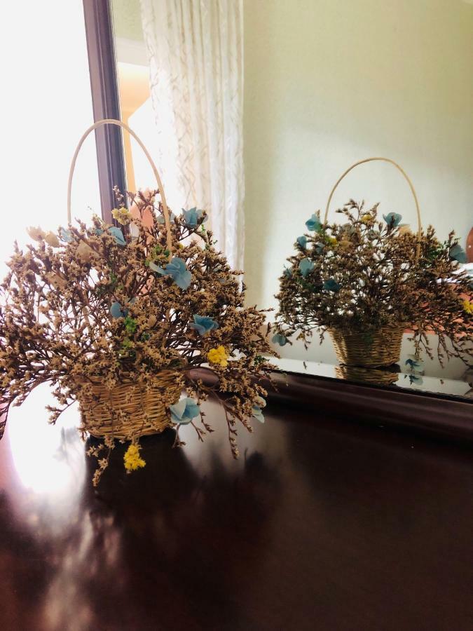 Guest House Vivaushba Bagvdanari エクステリア 写真