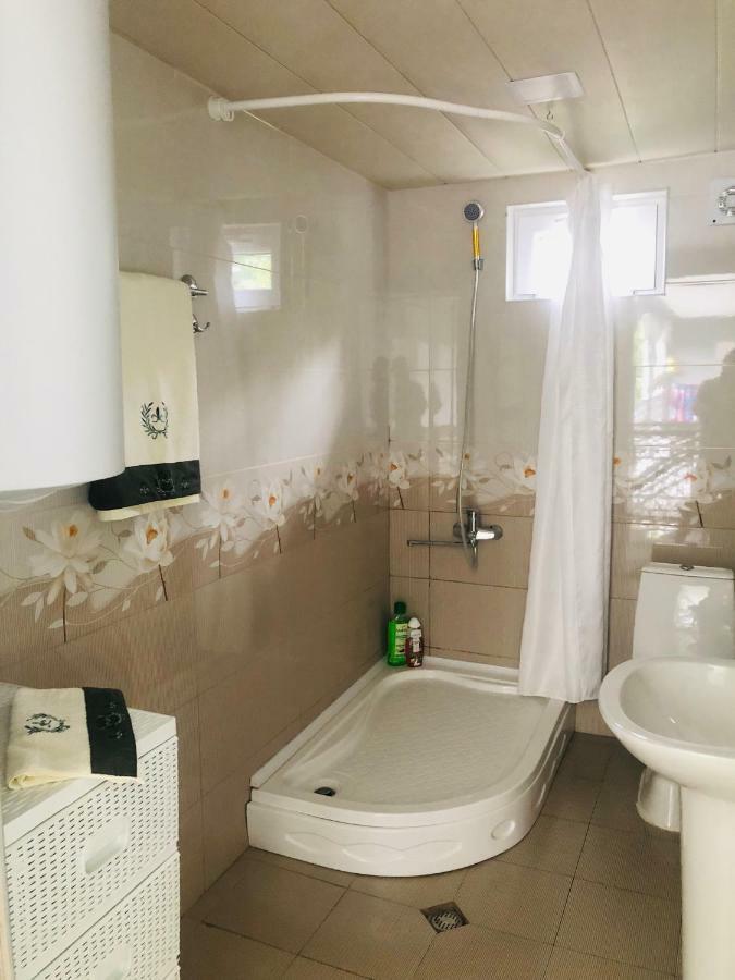 Guest House Vivaushba Bagvdanari エクステリア 写真