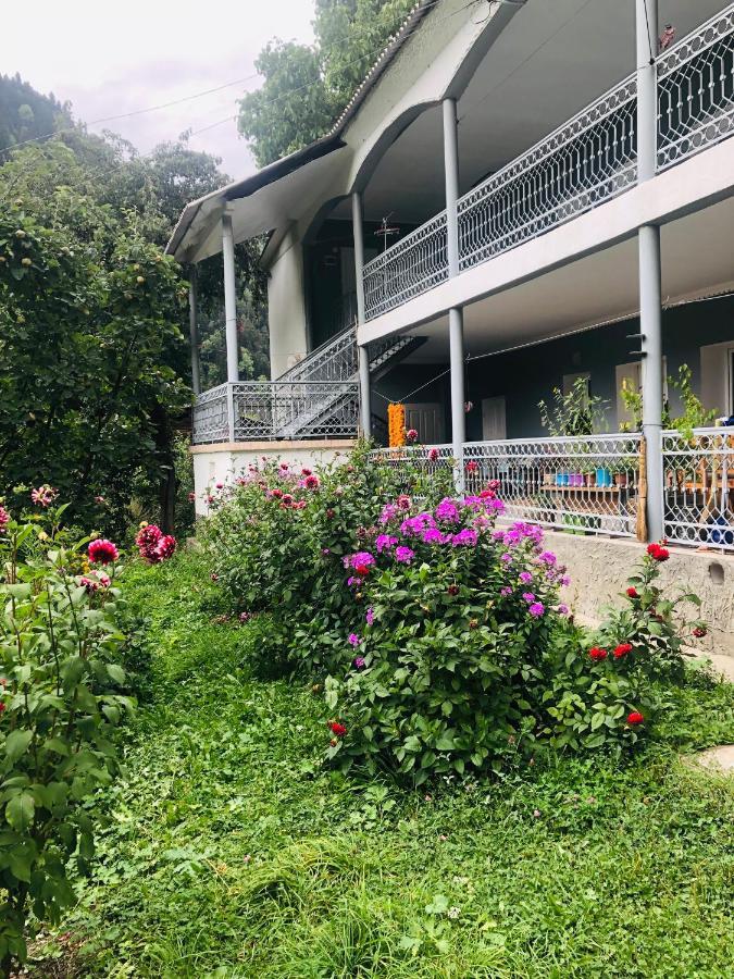 Guest House Vivaushba Bagvdanari エクステリア 写真
